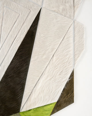 SCUTOID RUG