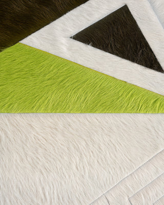 SCUTOID RUG