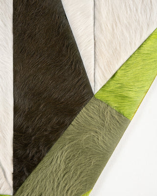 SCUTOID RUG