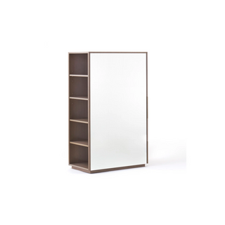 MIRRORED CABINET